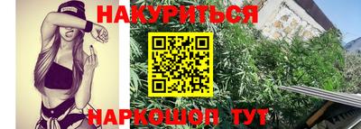 прущие крисы Мариинск
