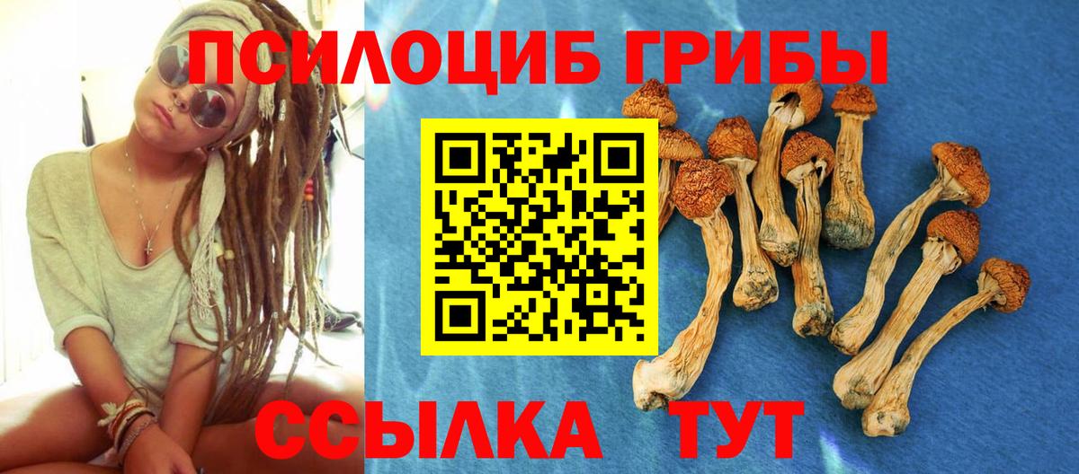 Астрахань  хочу   Вход с VPN  Псилоцибиновые грибы Magic Shrooms 
